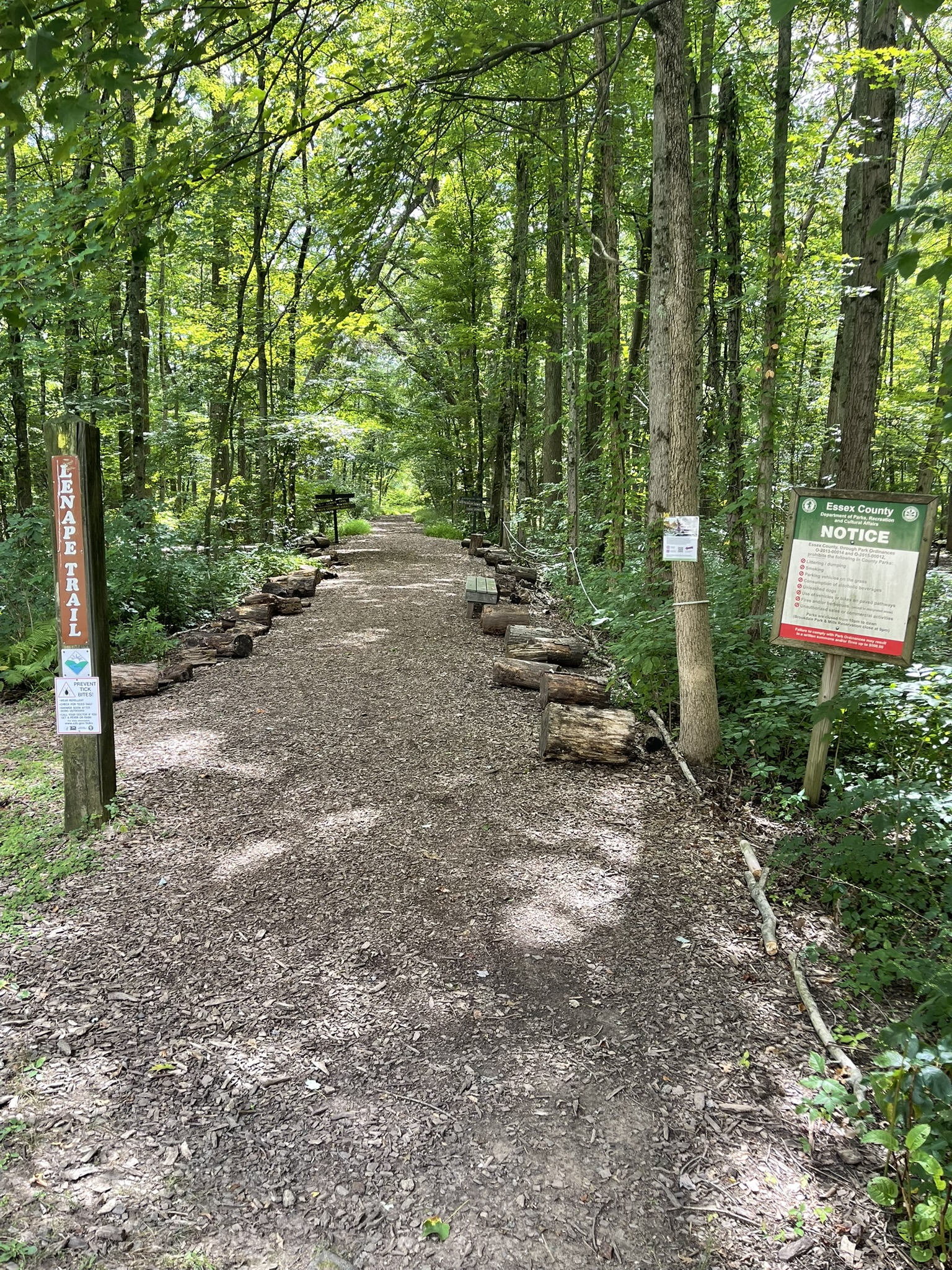 Woods behind the Essex County Environmental Center, Roseland, NJ